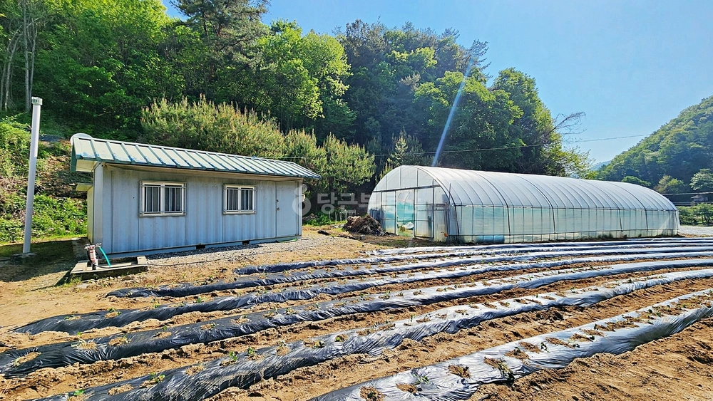 충청북도 제천시 금성면 토지 사진 1