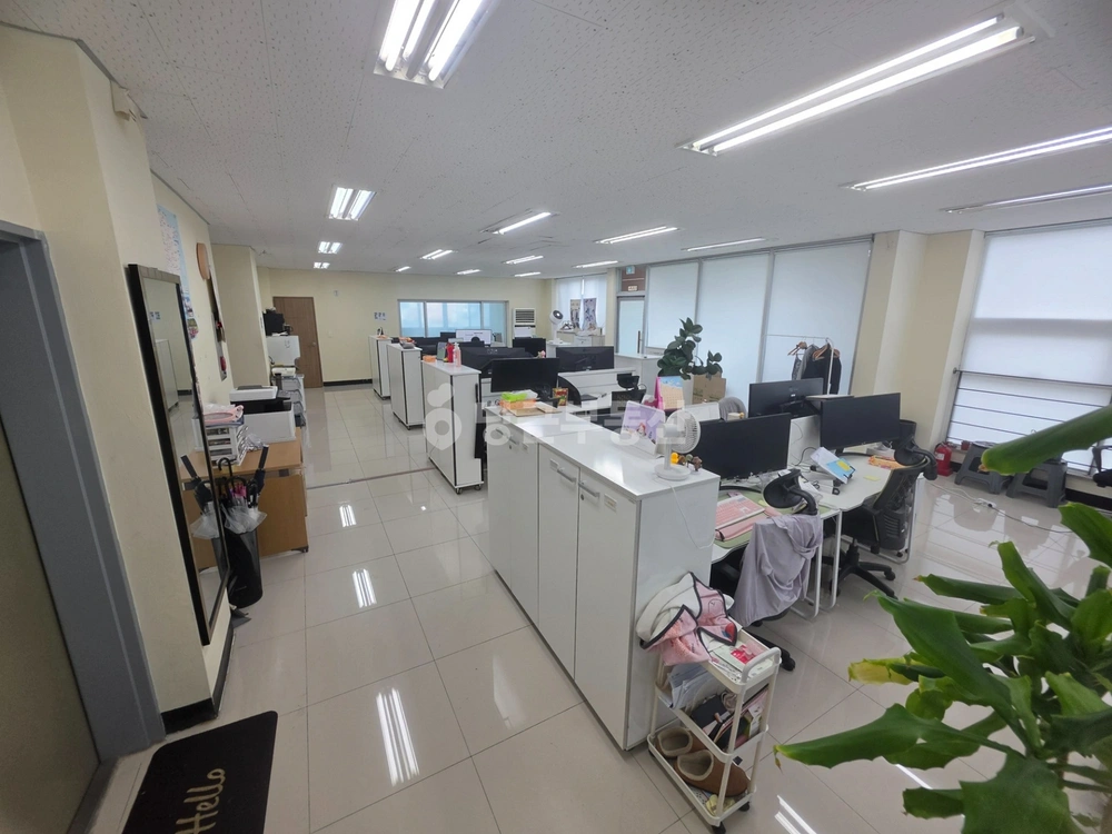 제주특별자치도 제주시 노형동 사무실 사진 1