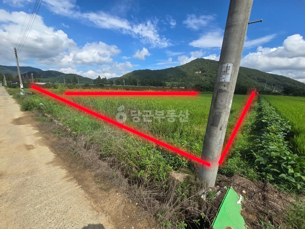 경상남도 창원시 의창구 북면 토지 사진 1