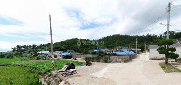 전남광주통합특별시 신안군 증도면 토지 사진 1