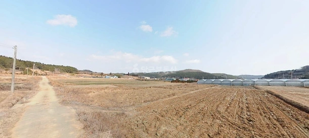 전남광주통합특별시 완도군 신지면 토지 사진 1