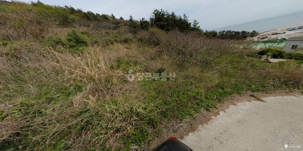 제주특별자치도 제주시 추자면 토지 사진 1