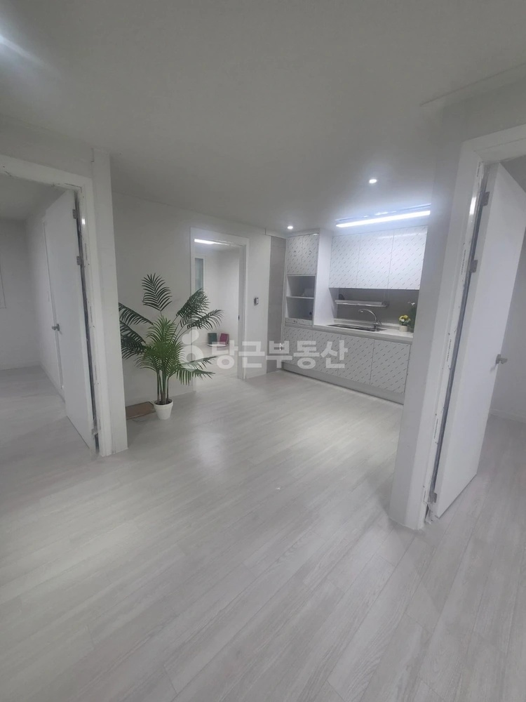 경기도 부천시 원미구 역곡동 빌라(투룸 이상) 사진 1