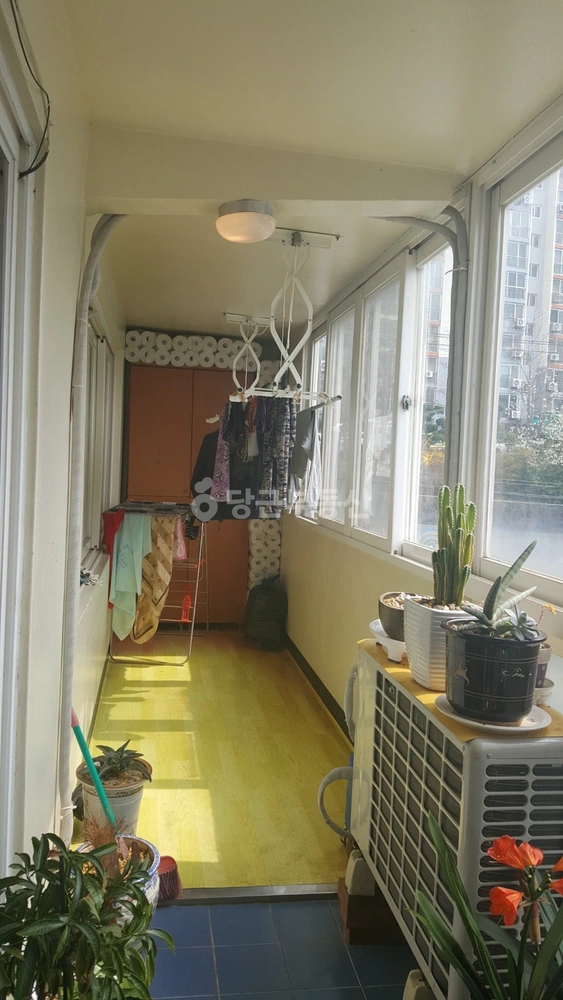 전남광주통합특별시 목포시 산정동 빌라(투룸 이상) 사진 1