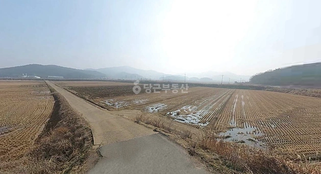 전남광주통합특별시 영광군 군남면 토지 사진 1