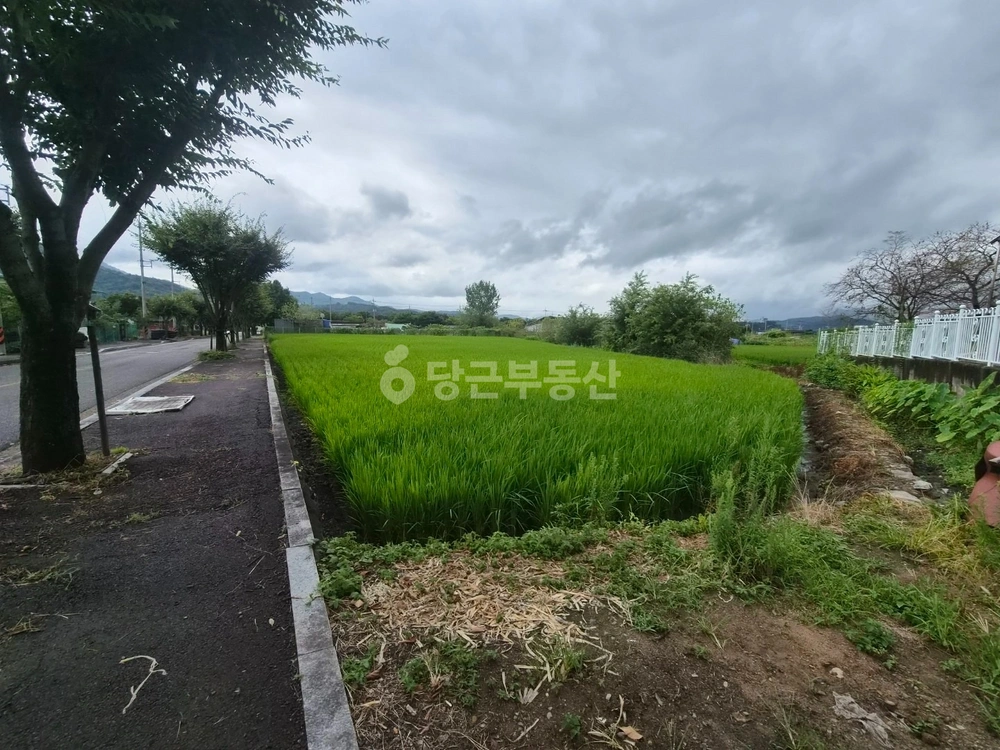 전남광주통합특별시 화순군 화순읍 토지 사진 1