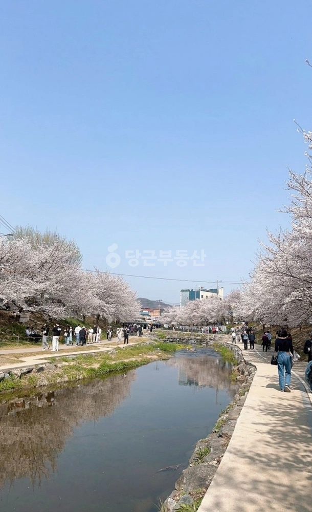 충청남도 천안시 동남구 원성동 단독/전원주택 사진 1