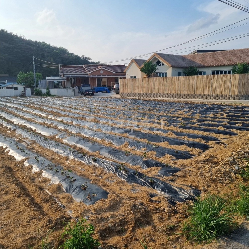 경상북도 경주시 천북면 토지 사진 1