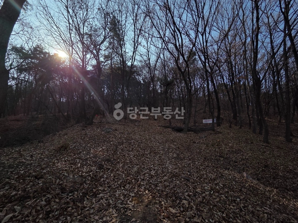 대전광역시 서구 갈마동 토지 사진 1