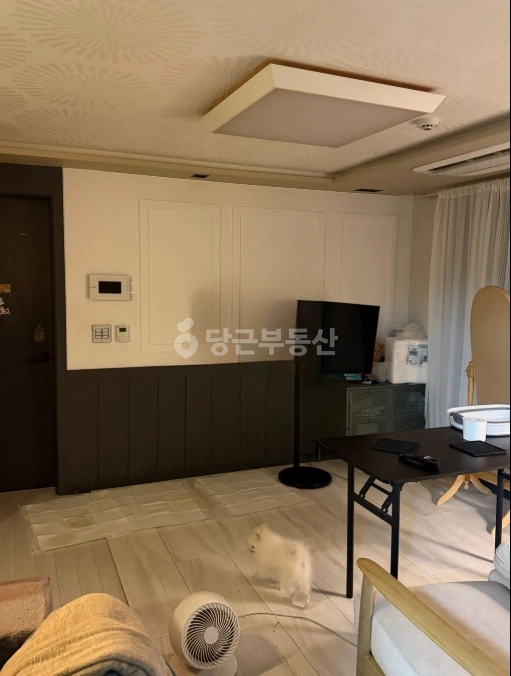 인천광역시 부평구 삼산동 빌라(투룸 이상) 사진 1