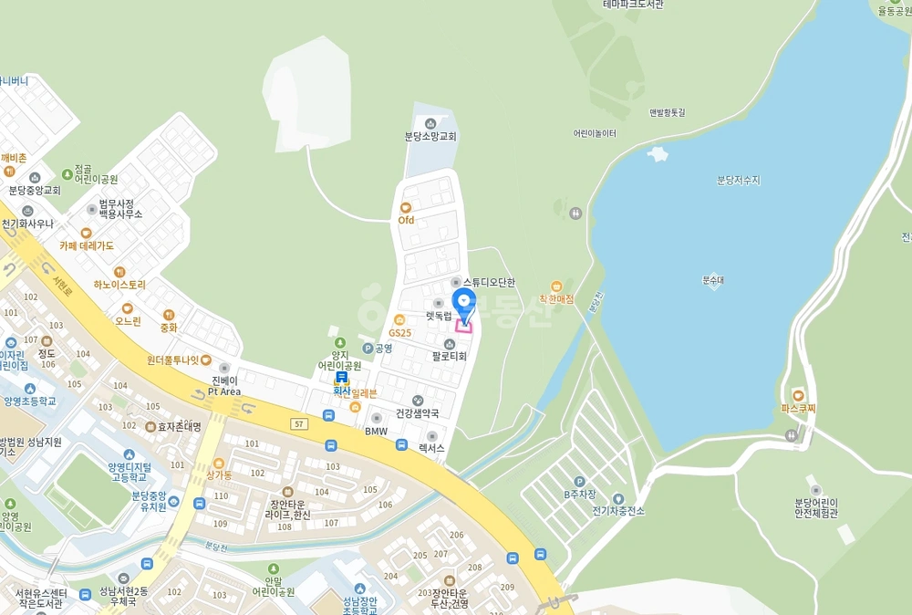 경기도 성남시 분당구 분당동 상가 사진 1