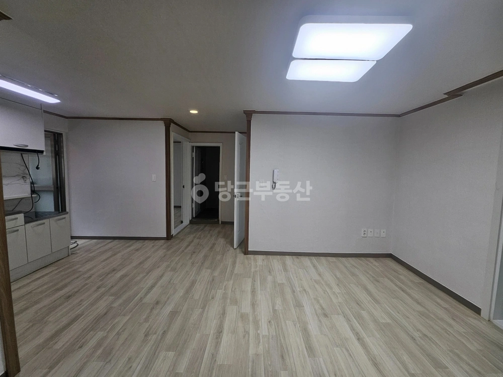 대전광역시 서구 괴정동 빌라(투룸 이상) 사진 1