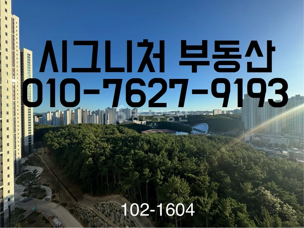 경상북도 포항시 북구 양덕동 아파트 사진 1
