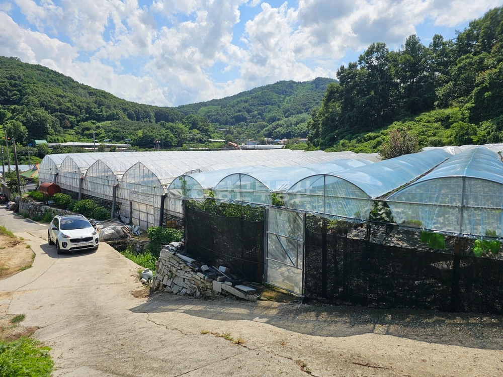 경상북도 김천시 봉산면 토지 사진 1