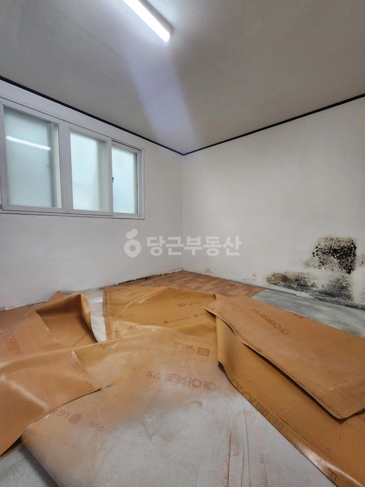 서울특별시 양천구 신월동 빌라(투룸 이상) 사진 1