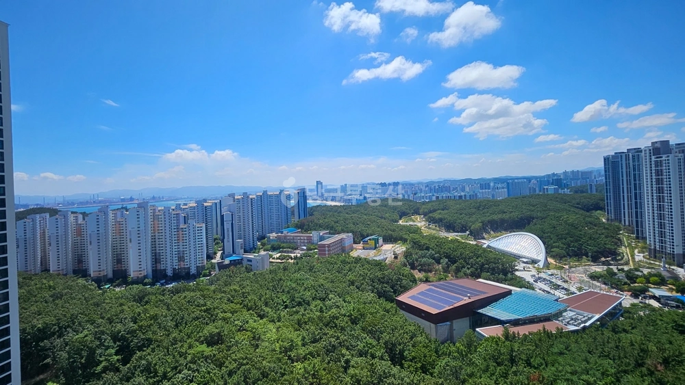 경상북도 포항시 북구 양덕동 아파트 사진 1