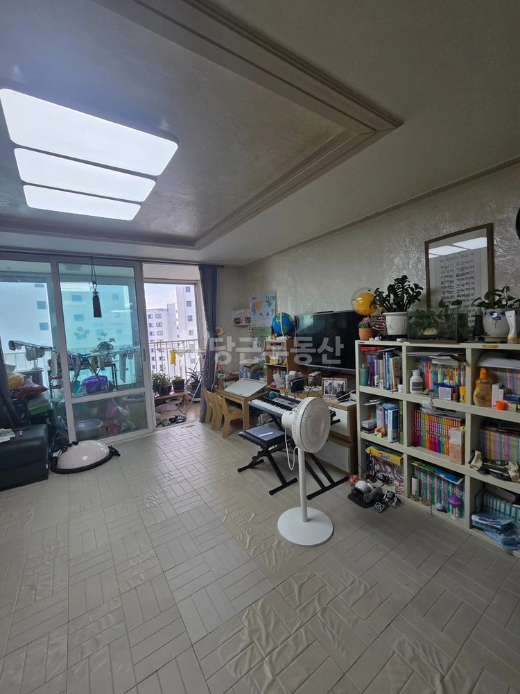 강원특별자치도 강릉시 견소동 아파트 사진 1