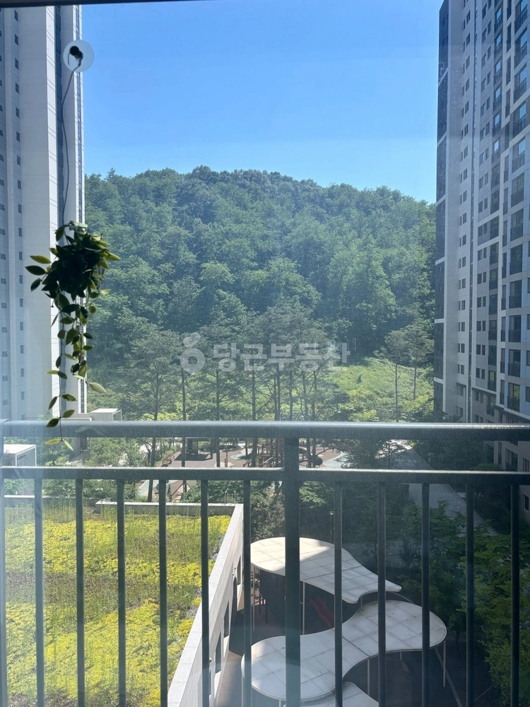 경기도 시흥시 장곡동 아파트 사진 1
