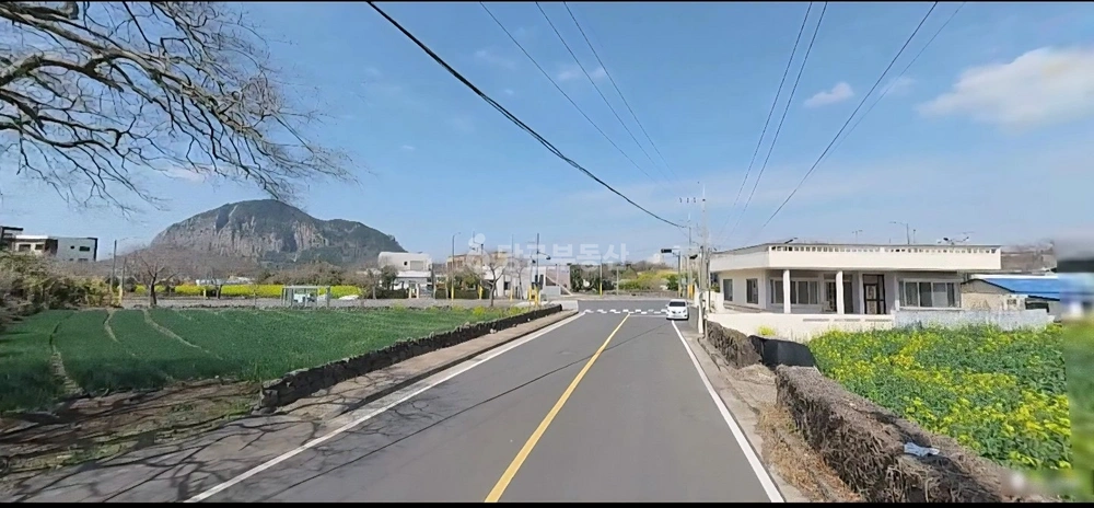 제주특별자치도 서귀포시 안덕면 단독/전원주택 사진 1