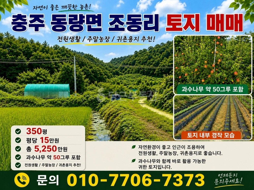 충청북도 충주시 동량면 토지 사진 1