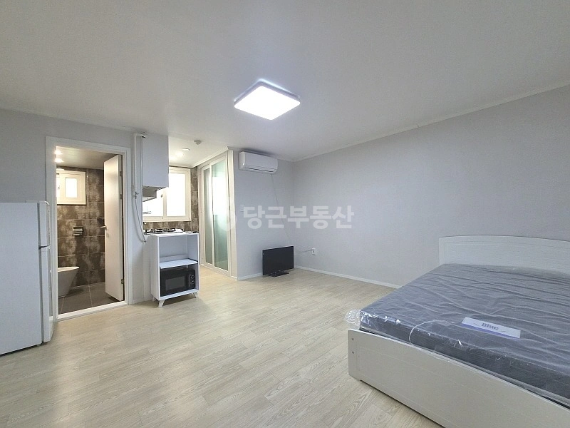 대전광역시 서구 월평동 원룸 사진 1
