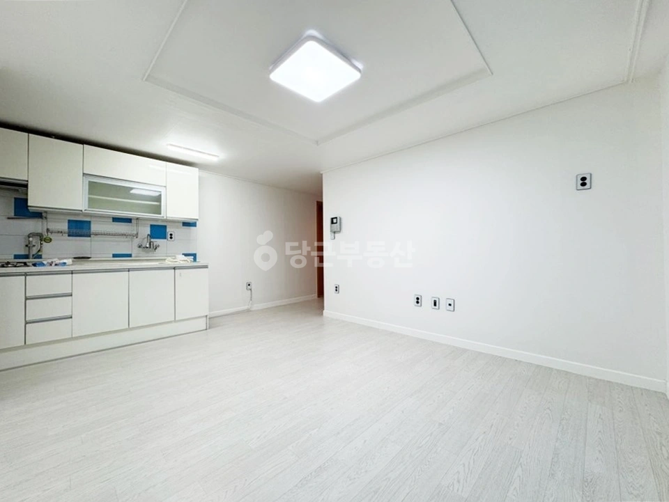 대전광역시 서구 괴정동 빌라(투룸 이상) 사진 1