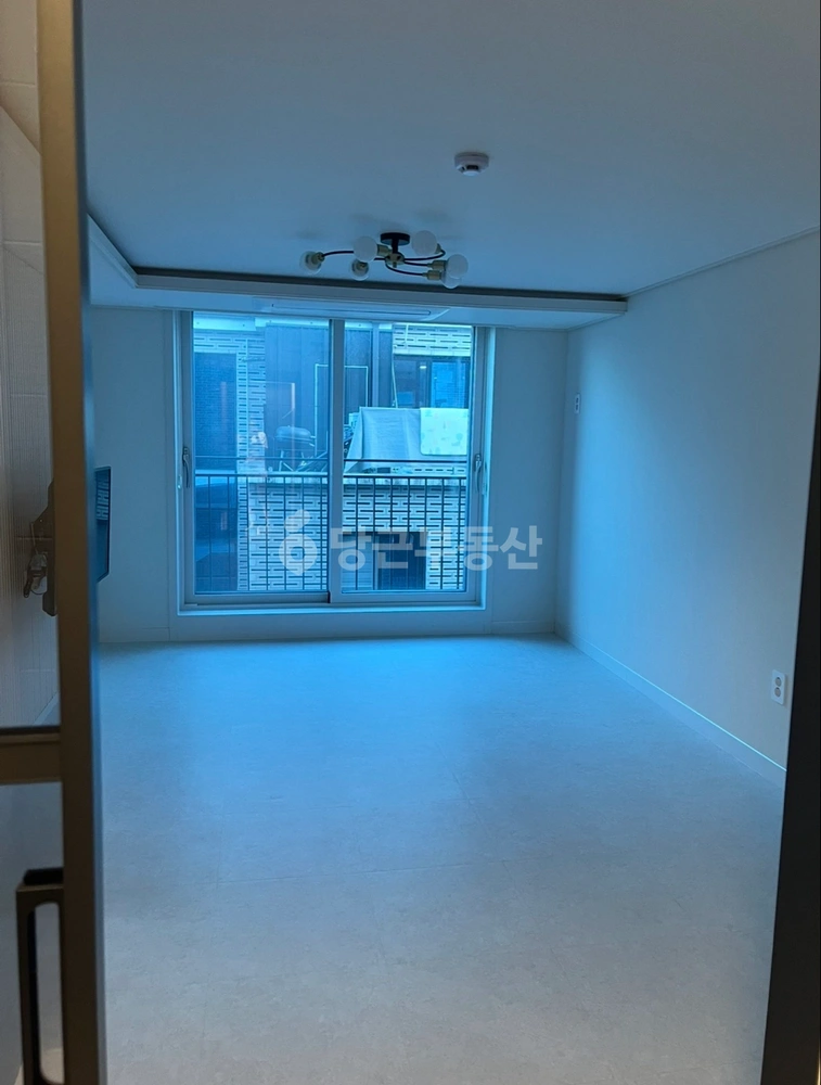 대전광역시 서구 도안동 원룸 사진 1