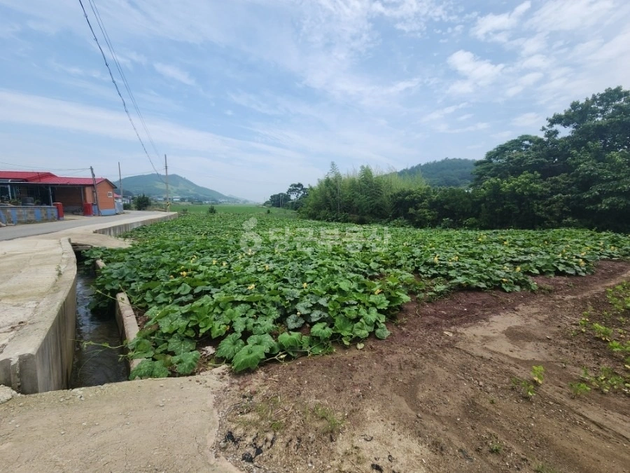 전남광주통합특별시 해남군 송지면 토지 사진 1