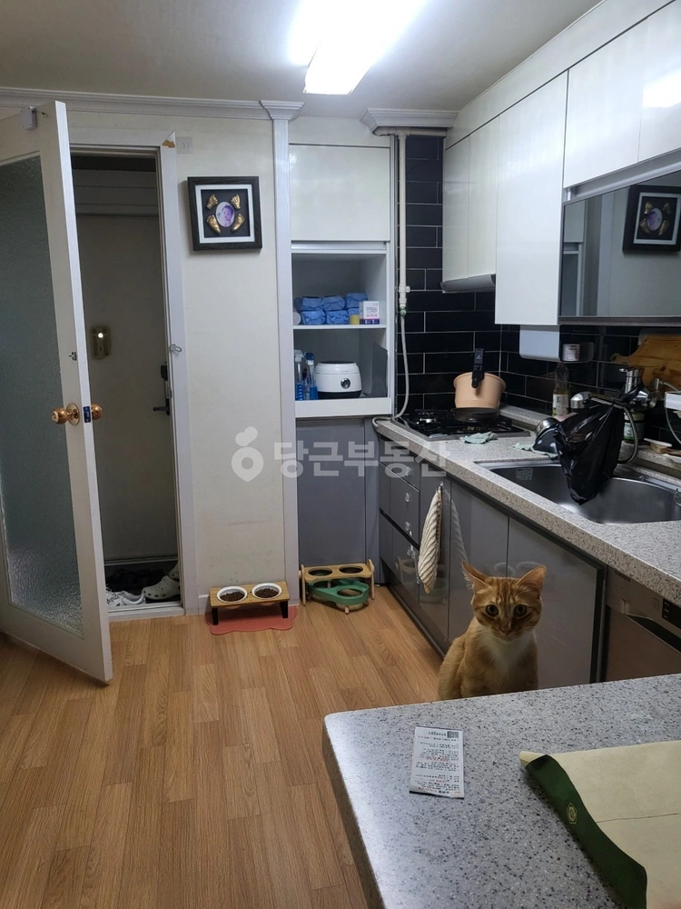 강원특별자치도 원주시 관설동 아파트 사진 1
