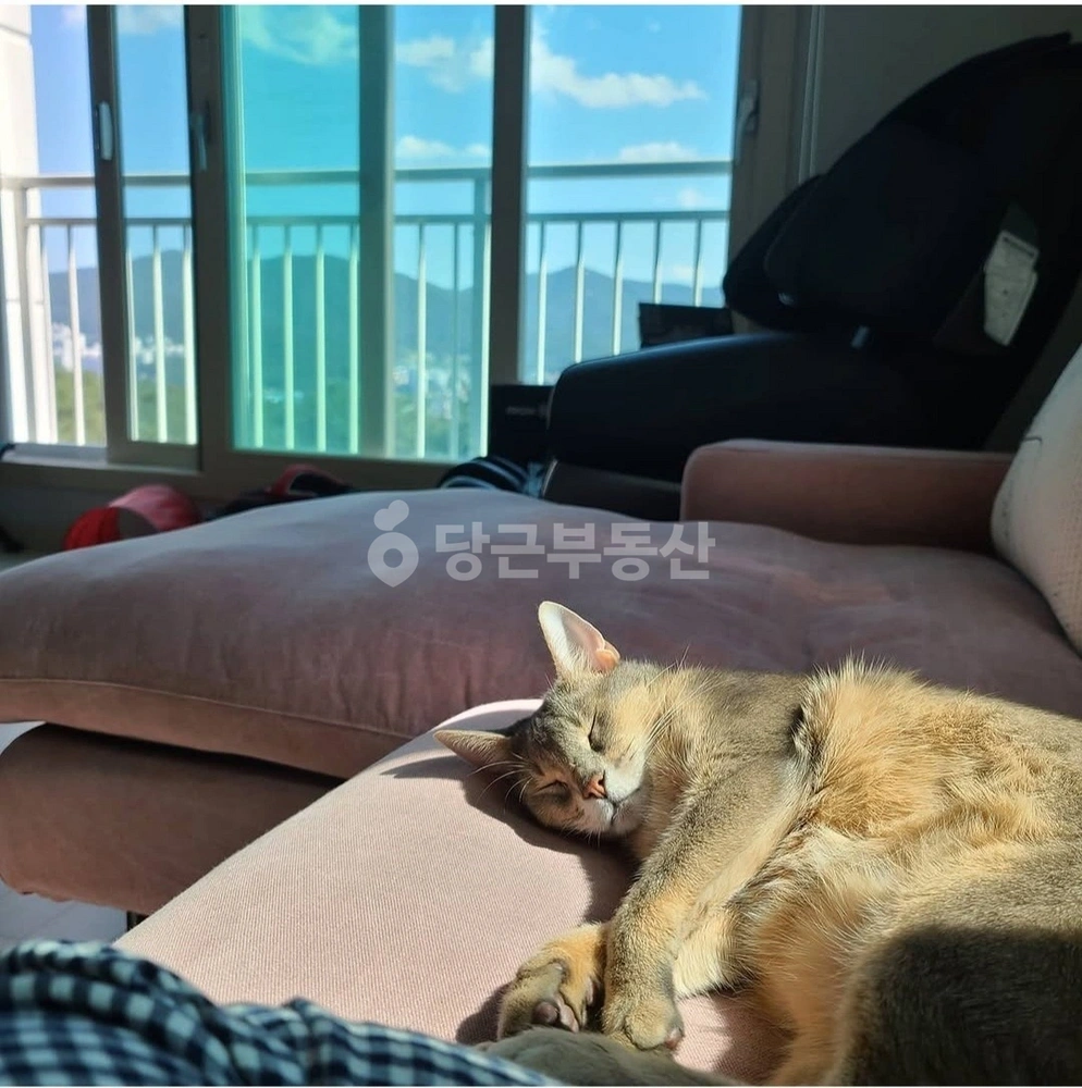 경기도 광주시 태전동 아파트 사진 1