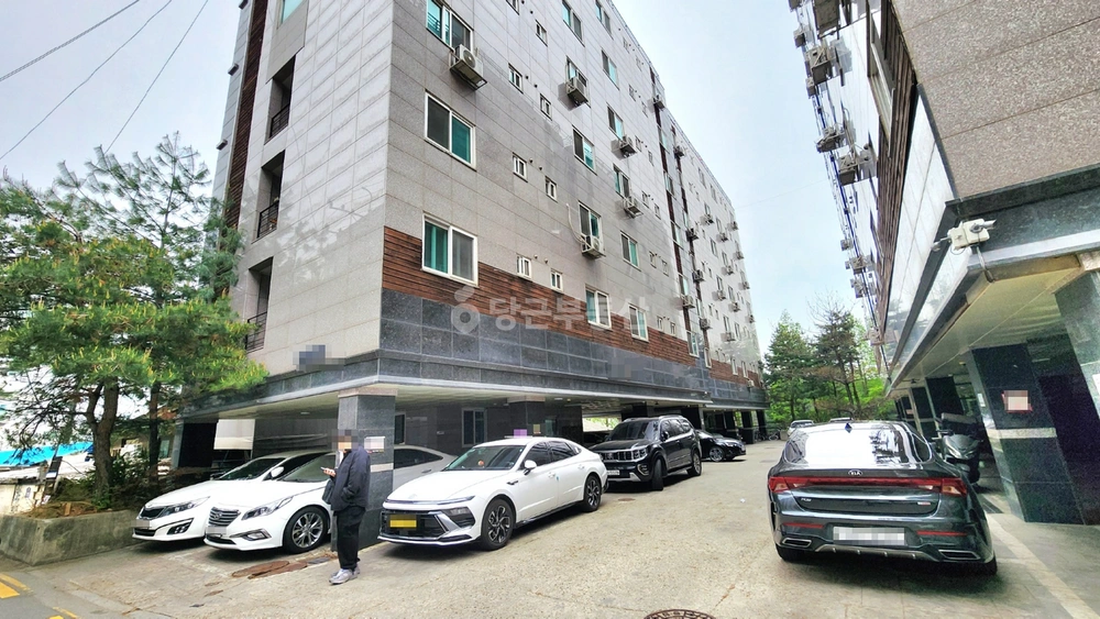 경기도 수원시 영통구 신동 건물 사진 1
