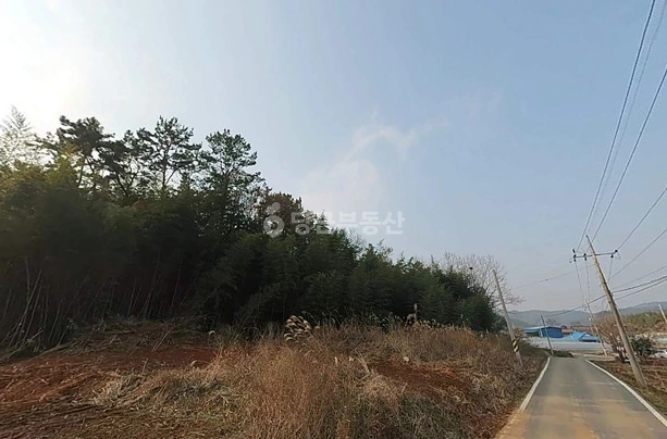 전남광주통합특별시 나주시 동강면 토지 사진 1
