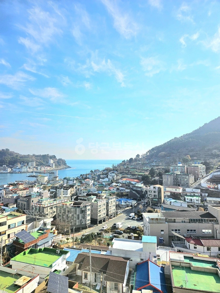 경상남도 거제시 장승포동 오피스텔 사진 1
