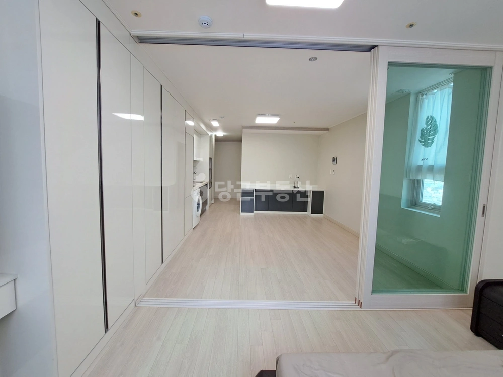 울산광역시 남구 삼산동 오피스텔 사진 1