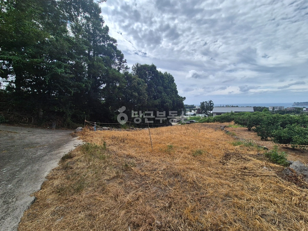 제주특별자치도 서귀포시 호근동 토지 사진 1