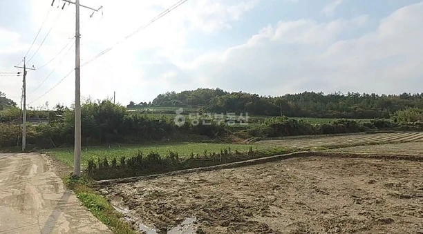 전남광주통합특별시 해남군 문내면 토지 사진 1