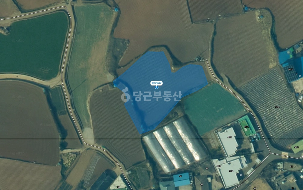 전남광주통합특별시 여수시 돌산읍 토지 사진 1
