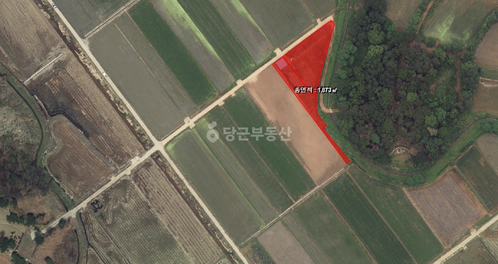 경기도 평택시 포승읍 토지 사진 1