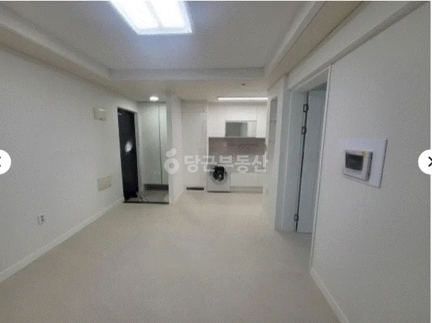 서울특별시 강남구 역삼동 원룸 사진 1