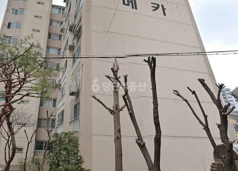 서울특별시 은평구 갈현동 아파트 사진 1