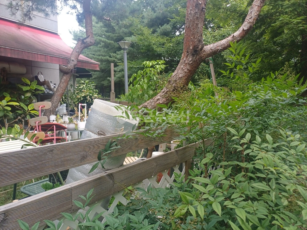 경기도 의정부시 용현동 상가 사진 1