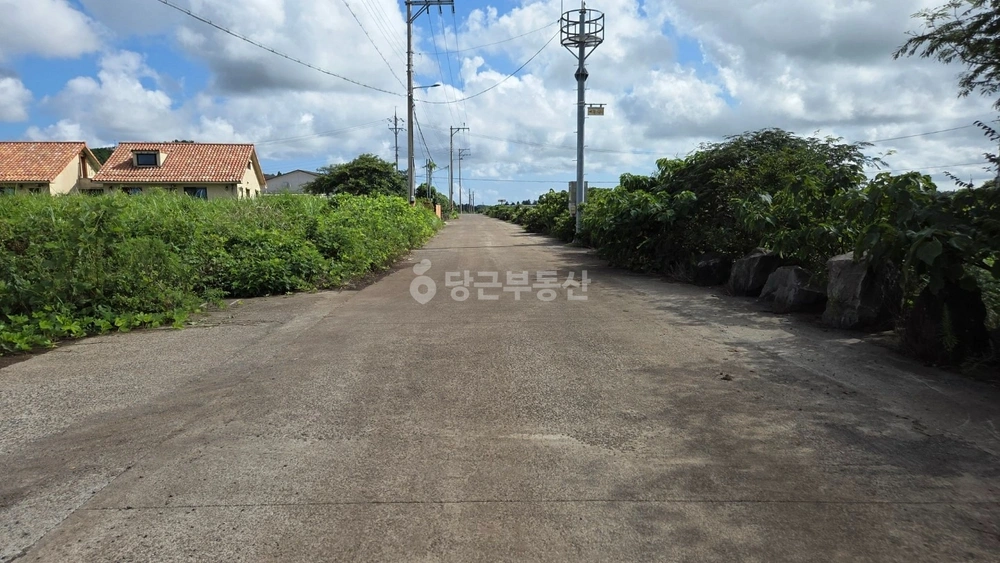 제주특별자치도 서귀포시 성산읍 토지 사진 1