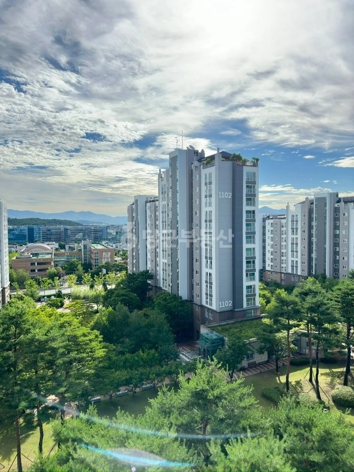 경기도 성남시 분당구 판교동 아파트 사진 1