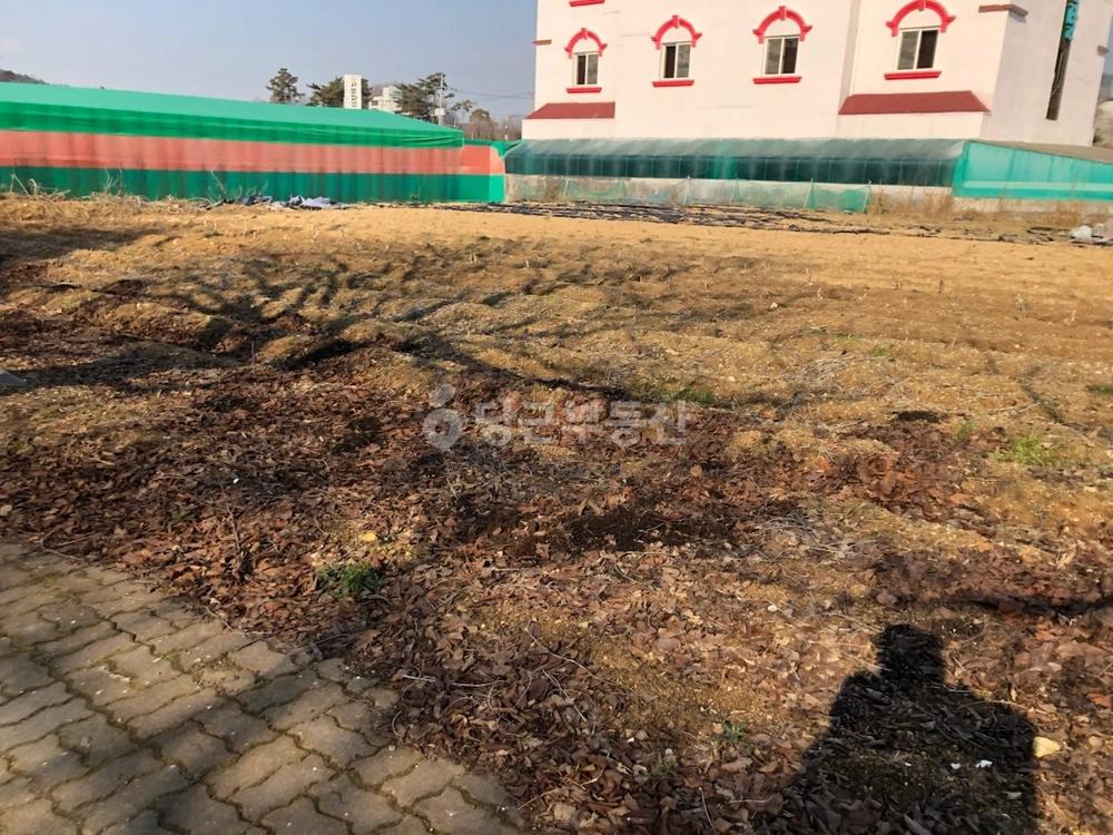 충청남도 아산시 도고면 토지 사진 1