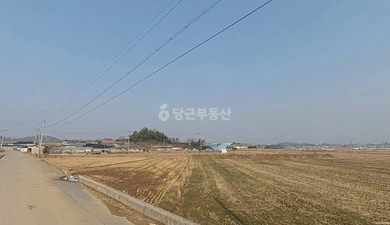 전남광주통합특별시 나주시 동강면 토지 사진 1