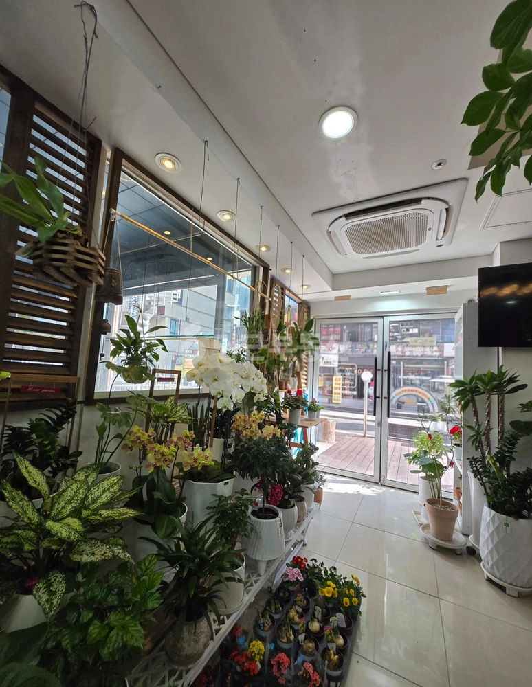경상남도 창원시 성산구 중앙동 상가 사진 1