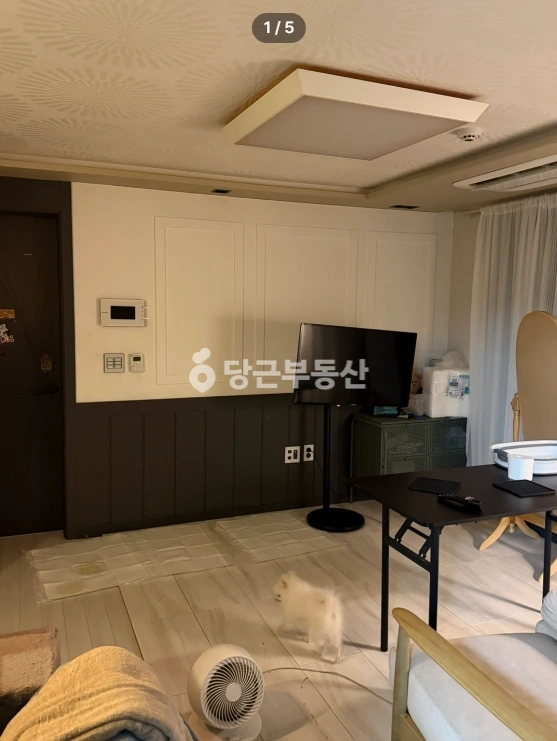 인천광역시 부평구 삼산동 빌라(투룸 이상) 사진 1