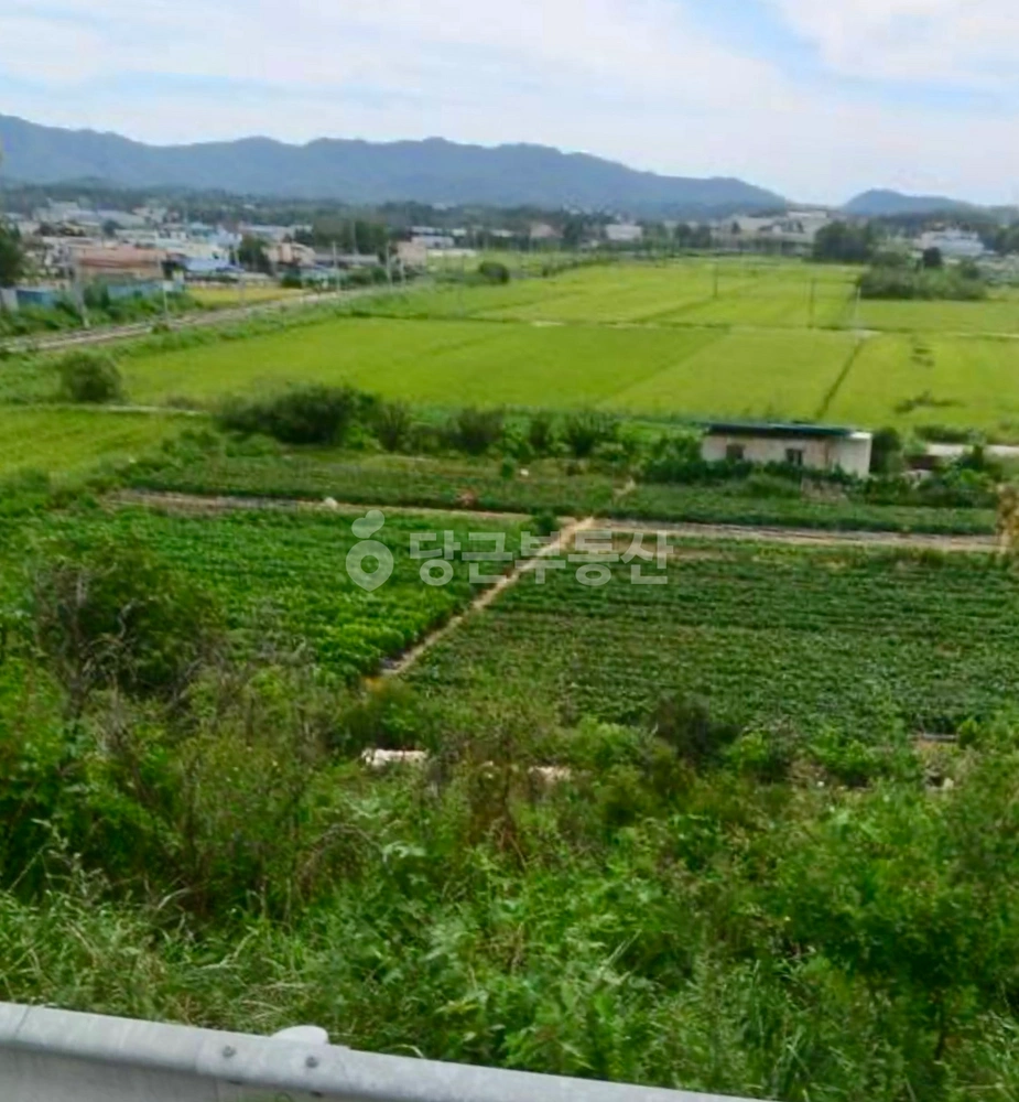 충청북도 청주시 청원구 북이면 토지 사진 1
