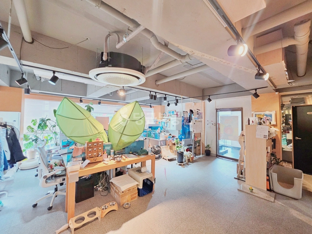 서울특별시 강남구 신사동 사무실 사진 1