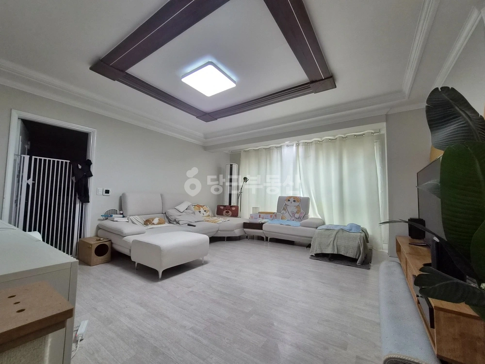 서울특별시 강서구 등촌동 단독/전원주택 사진 1
